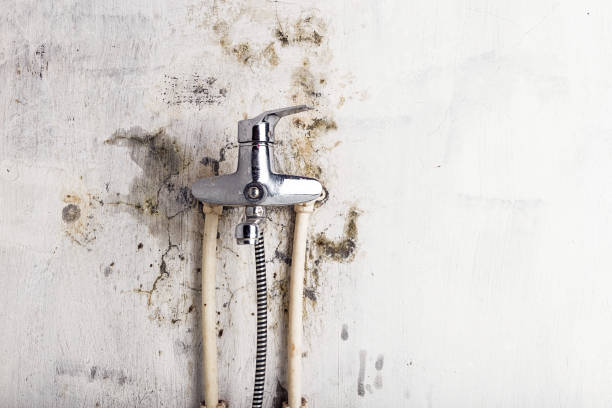 Best Emergency Mold Removal  in Hope Mills, NC