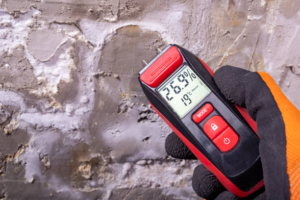 Best Mold Testing  in Hope Mills, NC