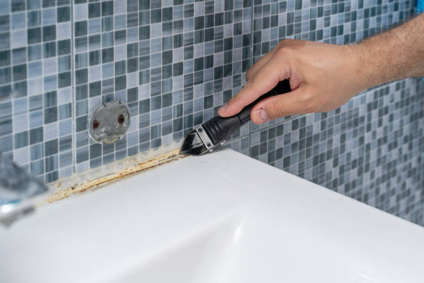 Best Local Mold Removal Service  in Hope Mills, NC
