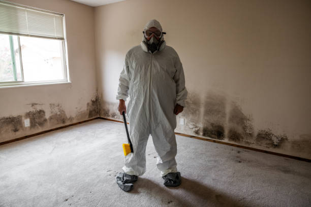 Mold Testing and Removal in Hope Mills, NC