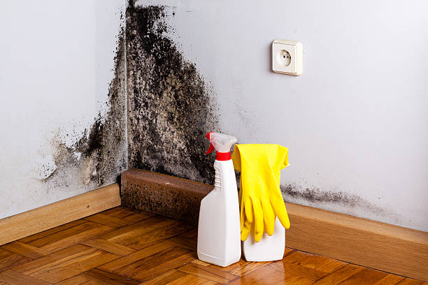 Home Mold Removal in Hope Mills, NC